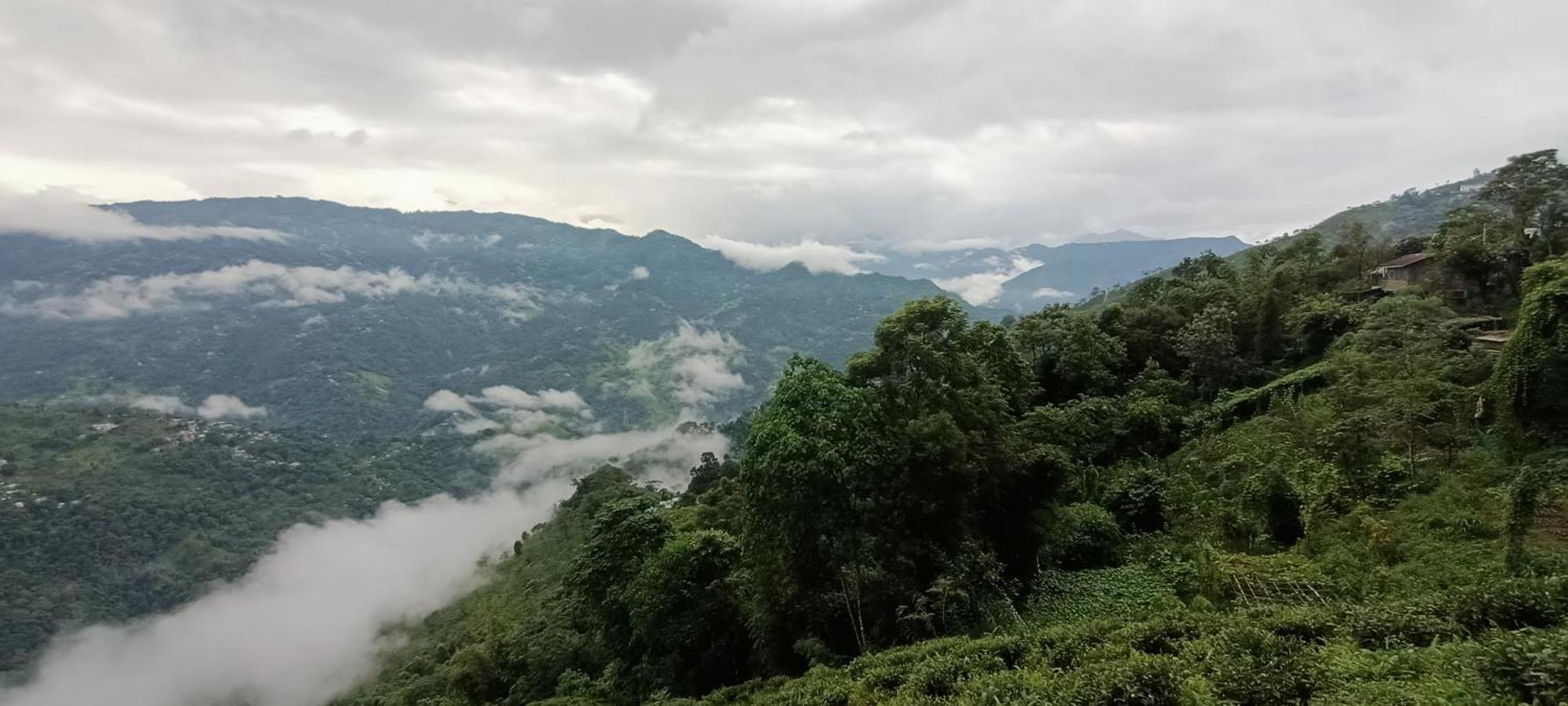 Tharbaling Homestay Darjeeling  Exterior photo